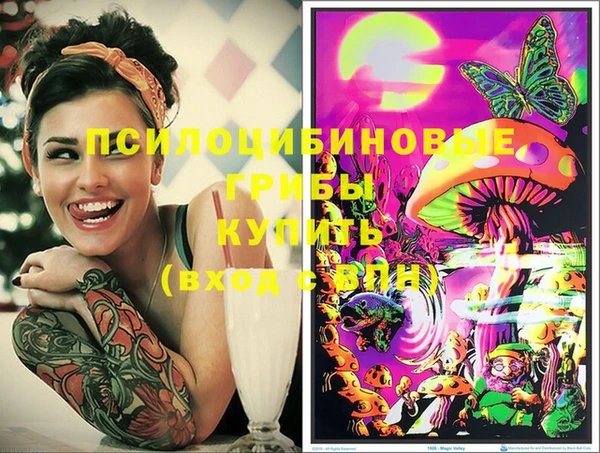 дмт Бородино