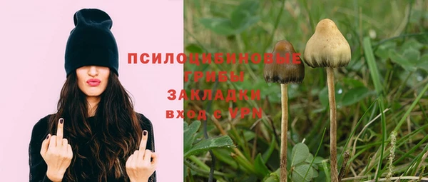 не бодяженный Бронницы