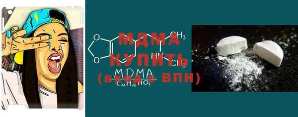 дмт Бородино