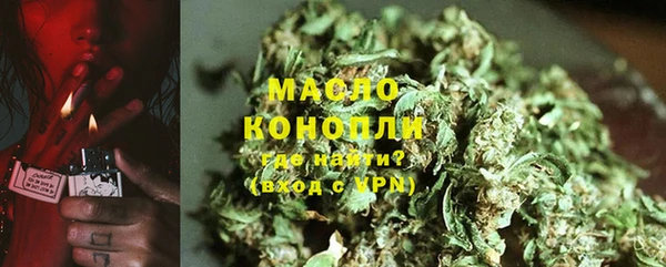 дмт Бородино