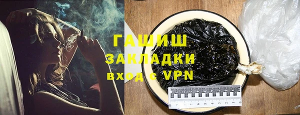 дмт Бородино