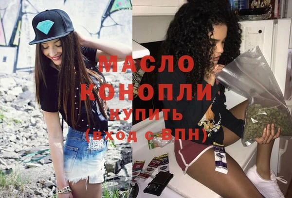 дмт Бородино