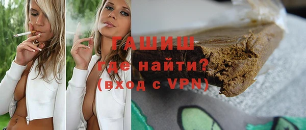 дмт Бородино